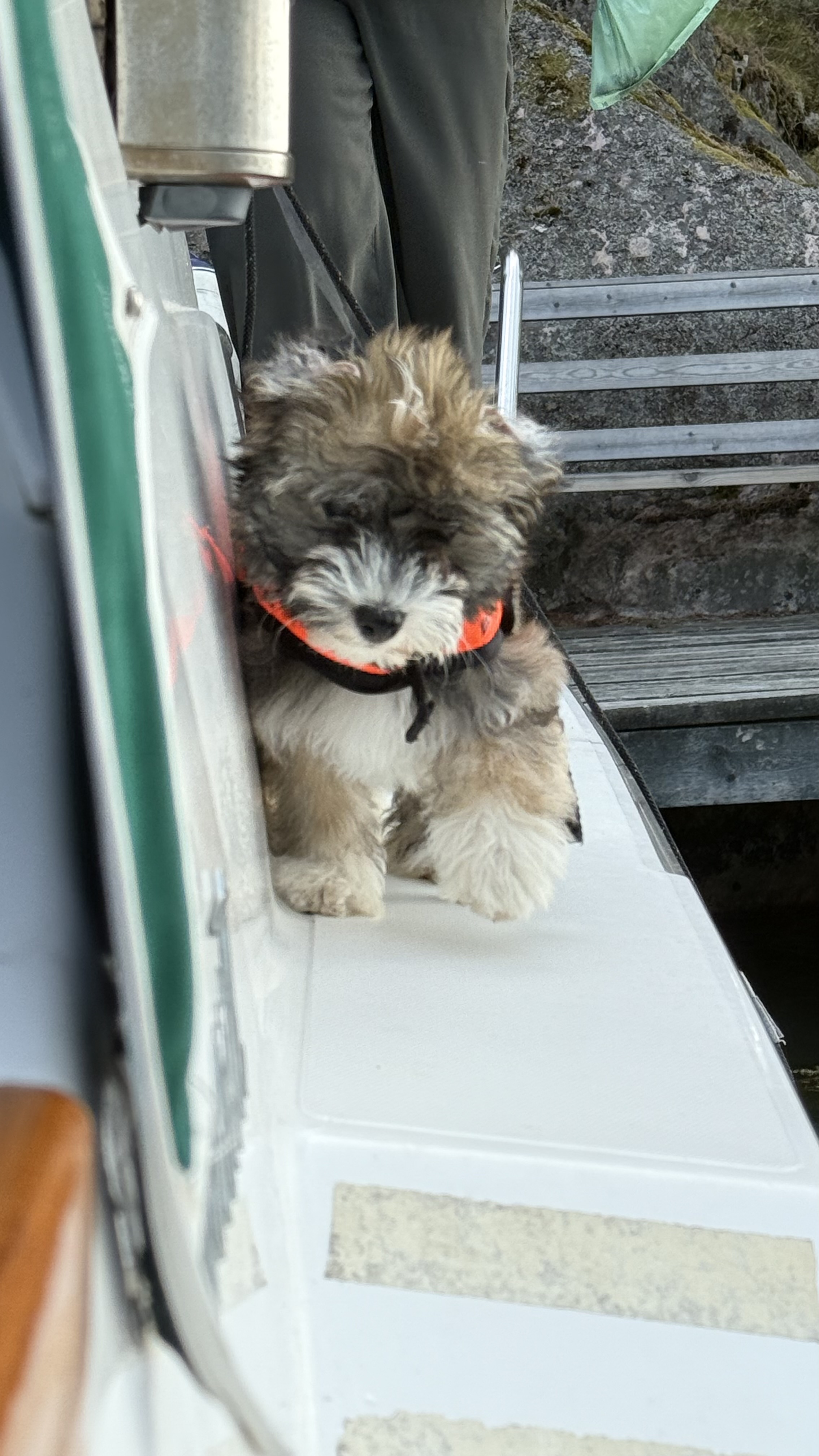 I början var han rädd att gå på skandäck för den kändes inte trygg och inte var tillräckligt bred.